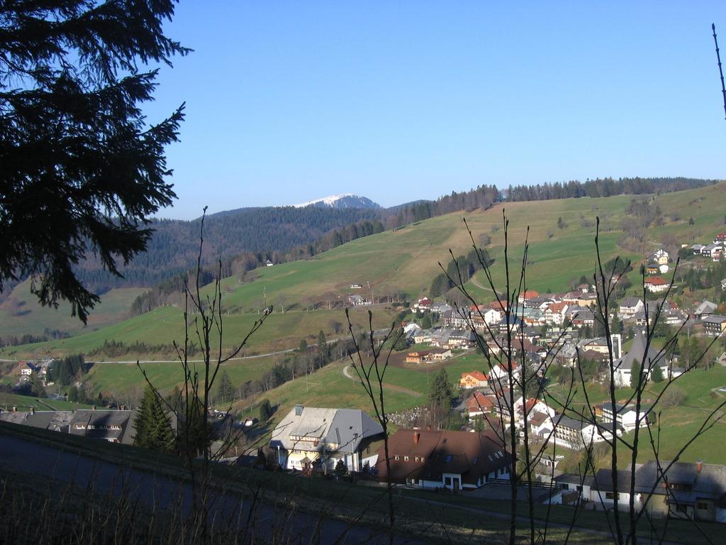 Haus Keller Ferienwohnungen Todtnauberg Bagian luar foto