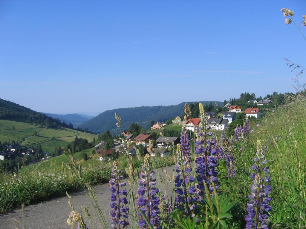 Haus Keller Ferienwohnungen Todtnauberg Bagian luar foto