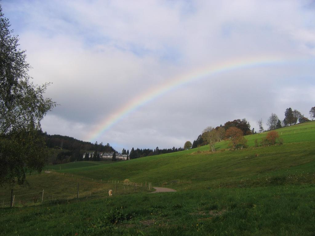 Haus Keller Ferienwohnungen Todtnauberg Bagian luar foto