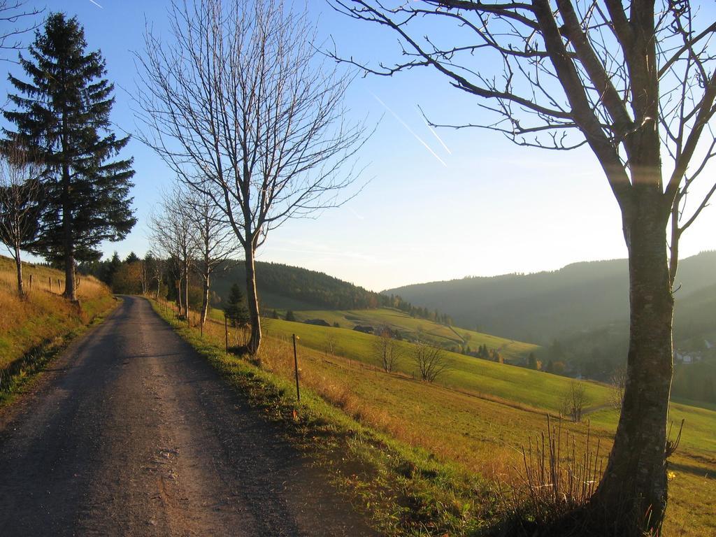 Haus Keller Ferienwohnungen Todtnauberg Bagian luar foto