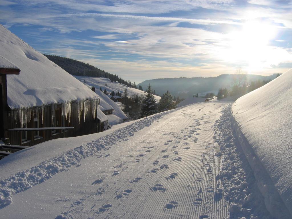 Haus Keller Ferienwohnungen Todtnauberg Bagian luar foto