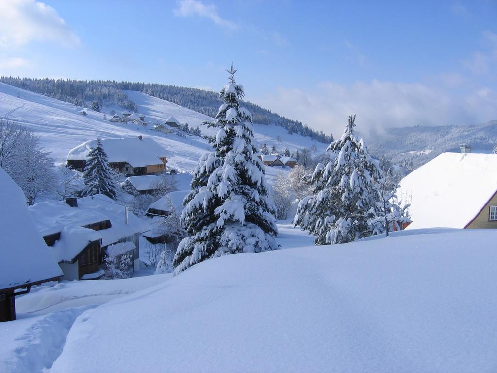 Haus Keller Ferienwohnungen Todtnauberg Bagian luar foto